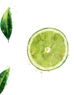 Lime and Leaves